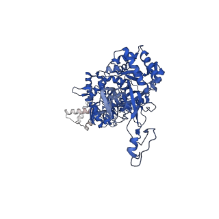 32258_7w1y_6_v1-0
Human MCM double hexamer bound to natural DNA duplex (polyAT/polyTA)