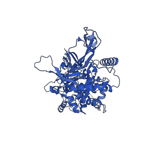 32258_7w1y_7_v1-0
Human MCM double hexamer bound to natural DNA duplex (polyAT/polyTA)