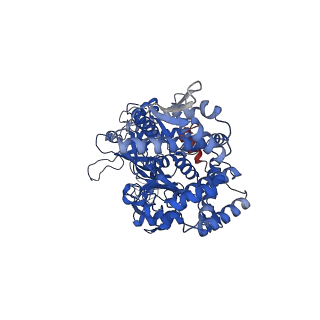 32258_7w1y_A_v1-0
Human MCM double hexamer bound to natural DNA duplex (polyAT/polyTA)