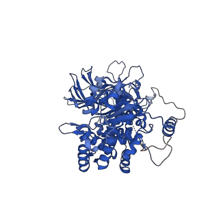 32258_7w1y_B_v1-0
Human MCM double hexamer bound to natural DNA duplex (polyAT/polyTA)