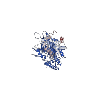 32258_7w1y_D_v1-0
Human MCM double hexamer bound to natural DNA duplex (polyAT/polyTA)