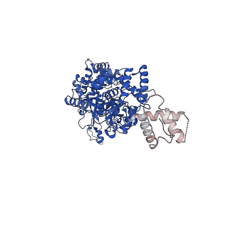 32258_7w1y_E_v1-0
Human MCM double hexamer bound to natural DNA duplex (polyAT/polyTA)