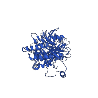 32258_7w1y_F_v1-0
Human MCM double hexamer bound to natural DNA duplex (polyAT/polyTA)