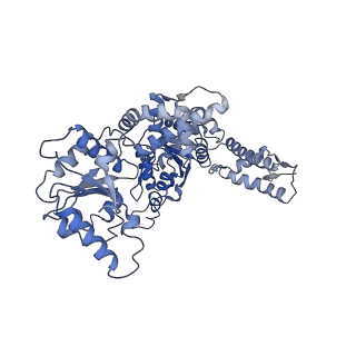 21520_6w20_A_v1-3
ClpAP Disengaged State bound to RepA-GFP