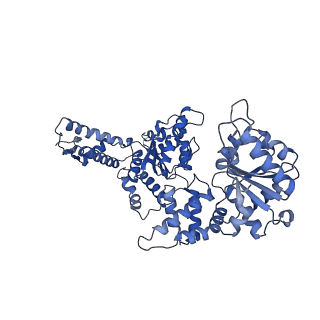 21520_6w20_D_v1-3
ClpAP Disengaged State bound to RepA-GFP