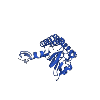 21520_6w20_I_v1-3
ClpAP Disengaged State bound to RepA-GFP