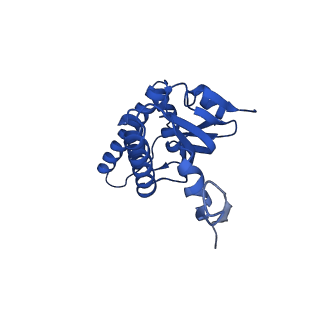 21520_6w20_K_v1-3
ClpAP Disengaged State bound to RepA-GFP