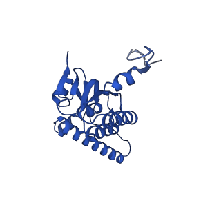 21520_6w20_M_v1-3
ClpAP Disengaged State bound to RepA-GFP