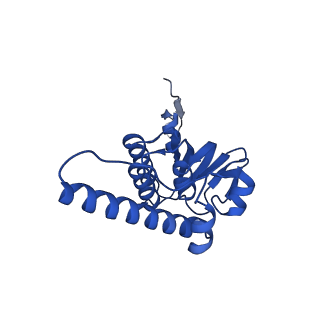 21520_6w20_N_v1-3
ClpAP Disengaged State bound to RepA-GFP