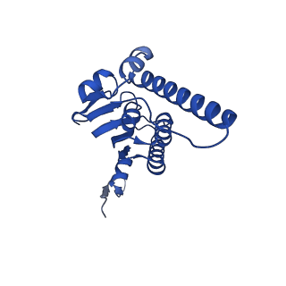 21520_6w20_Q_v1-3
ClpAP Disengaged State bound to RepA-GFP