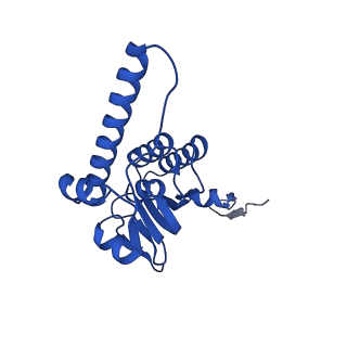 21520_6w20_S_v1-3
ClpAP Disengaged State bound to RepA-GFP