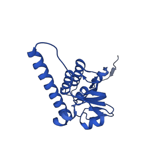 21520_6w20_T_v1-3
ClpAP Disengaged State bound to RepA-GFP