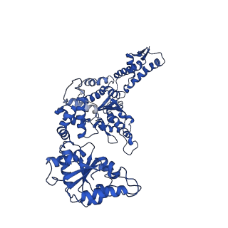 21522_6w22_B_v1-3
ClpA Engaged1 State bound to RepA-GFP (ClpA Focused Refinement)