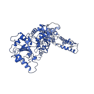 21523_6w23_A_v1-3
ClpA Disengaged State bound to RepA-GFP (Focused Classification)