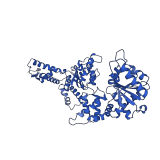 21523_6w23_D_v1-3
ClpA Disengaged State bound to RepA-GFP (Focused Classification)