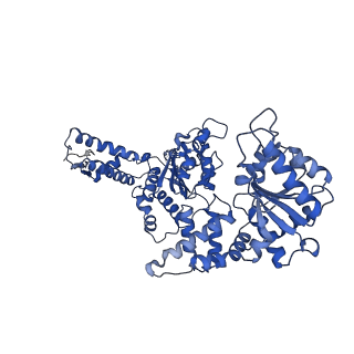 21524_6w24_D_v1-3
ClpA Engaged2 State bound to RepA-GFP (Focused Classification)