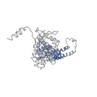 21529_6w2s_1_v1-1
Structure of the Cricket Paralysis Virus 5-UTR IRES (CrPV 5-UTR-IRES) bound to the small ribosomal subunit in the open state (Class 1)