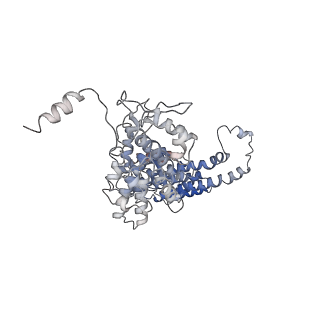 21529_6w2s_1_v1-2
Structure of the Cricket Paralysis Virus 5-UTR IRES (CrPV 5-UTR-IRES) bound to the small ribosomal subunit in the open state (Class 1)