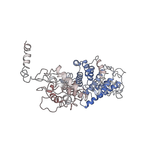 21529_6w2s_2_v1-1
Structure of the Cricket Paralysis Virus 5-UTR IRES (CrPV 5-UTR-IRES) bound to the small ribosomal subunit in the open state (Class 1)