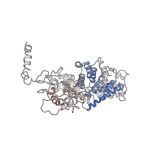 21529_6w2s_2_v1-2
Structure of the Cricket Paralysis Virus 5-UTR IRES (CrPV 5-UTR-IRES) bound to the small ribosomal subunit in the open state (Class 1)