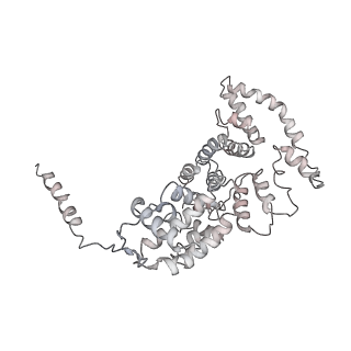 21529_6w2s_3_v1-1
Structure of the Cricket Paralysis Virus 5-UTR IRES (CrPV 5-UTR-IRES) bound to the small ribosomal subunit in the open state (Class 1)