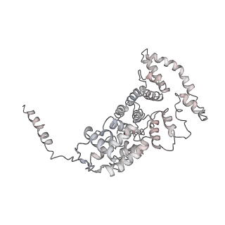 21529_6w2s_3_v1-2
Structure of the Cricket Paralysis Virus 5-UTR IRES (CrPV 5-UTR-IRES) bound to the small ribosomal subunit in the open state (Class 1)