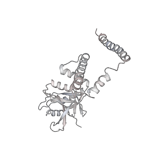 21529_6w2s_4_v1-1
Structure of the Cricket Paralysis Virus 5-UTR IRES (CrPV 5-UTR-IRES) bound to the small ribosomal subunit in the open state (Class 1)