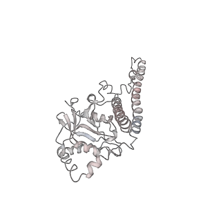 21529_6w2s_5_v1-1
Structure of the Cricket Paralysis Virus 5-UTR IRES (CrPV 5-UTR-IRES) bound to the small ribosomal subunit in the open state (Class 1)