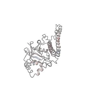 21529_6w2s_5_v1-2
Structure of the Cricket Paralysis Virus 5-UTR IRES (CrPV 5-UTR-IRES) bound to the small ribosomal subunit in the open state (Class 1)