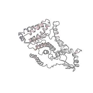 21529_6w2s_7_v1-2
Structure of the Cricket Paralysis Virus 5-UTR IRES (CrPV 5-UTR-IRES) bound to the small ribosomal subunit in the open state (Class 1)