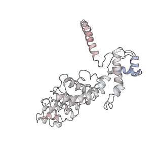 21529_6w2s_8_v1-1
Structure of the Cricket Paralysis Virus 5-UTR IRES (CrPV 5-UTR-IRES) bound to the small ribosomal subunit in the open state (Class 1)