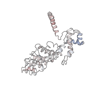 21529_6w2s_8_v1-2
Structure of the Cricket Paralysis Virus 5-UTR IRES (CrPV 5-UTR-IRES) bound to the small ribosomal subunit in the open state (Class 1)