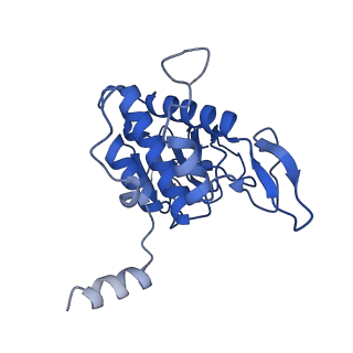 21529_6w2s_B_v1-2
Structure of the Cricket Paralysis Virus 5-UTR IRES (CrPV 5-UTR-IRES) bound to the small ribosomal subunit in the open state (Class 1)