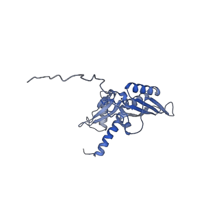 21529_6w2s_E_v1-1
Structure of the Cricket Paralysis Virus 5-UTR IRES (CrPV 5-UTR-IRES) bound to the small ribosomal subunit in the open state (Class 1)