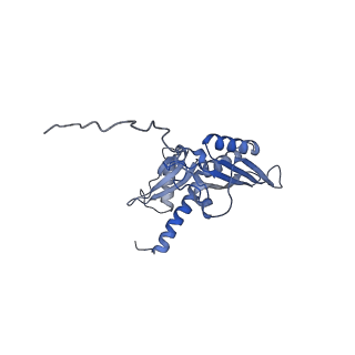 21529_6w2s_E_v1-2
Structure of the Cricket Paralysis Virus 5-UTR IRES (CrPV 5-UTR-IRES) bound to the small ribosomal subunit in the open state (Class 1)