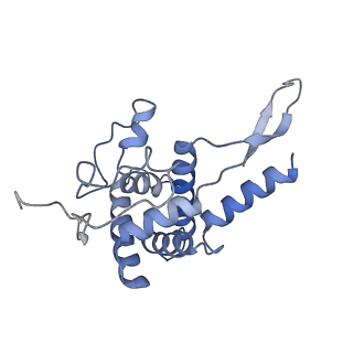 21529_6w2s_G_v1-1
Structure of the Cricket Paralysis Virus 5-UTR IRES (CrPV 5-UTR-IRES) bound to the small ribosomal subunit in the open state (Class 1)