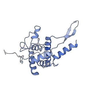 21529_6w2s_G_v1-2
Structure of the Cricket Paralysis Virus 5-UTR IRES (CrPV 5-UTR-IRES) bound to the small ribosomal subunit in the open state (Class 1)