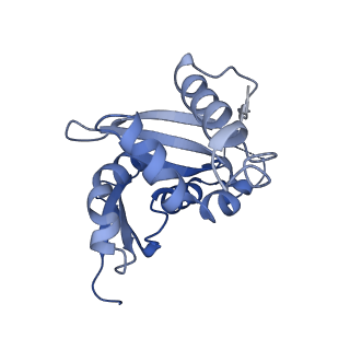 21529_6w2s_I_v1-1
Structure of the Cricket Paralysis Virus 5-UTR IRES (CrPV 5-UTR-IRES) bound to the small ribosomal subunit in the open state (Class 1)