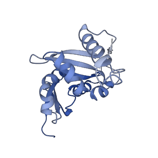 21529_6w2s_I_v1-2
Structure of the Cricket Paralysis Virus 5-UTR IRES (CrPV 5-UTR-IRES) bound to the small ribosomal subunit in the open state (Class 1)