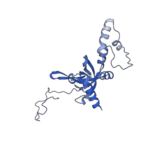 21529_6w2s_J_v1-2
Structure of the Cricket Paralysis Virus 5-UTR IRES (CrPV 5-UTR-IRES) bound to the small ribosomal subunit in the open state (Class 1)