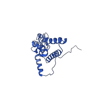 21529_6w2s_K_v1-1
Structure of the Cricket Paralysis Virus 5-UTR IRES (CrPV 5-UTR-IRES) bound to the small ribosomal subunit in the open state (Class 1)