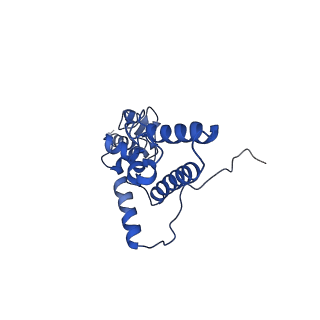 21529_6w2s_K_v1-2
Structure of the Cricket Paralysis Virus 5-UTR IRES (CrPV 5-UTR-IRES) bound to the small ribosomal subunit in the open state (Class 1)