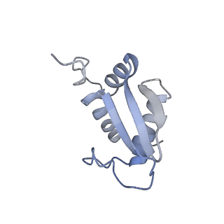 21529_6w2s_L_v1-2
Structure of the Cricket Paralysis Virus 5-UTR IRES (CrPV 5-UTR-IRES) bound to the small ribosomal subunit in the open state (Class 1)