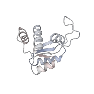 21529_6w2s_N_v1-2
Structure of the Cricket Paralysis Virus 5-UTR IRES (CrPV 5-UTR-IRES) bound to the small ribosomal subunit in the open state (Class 1)