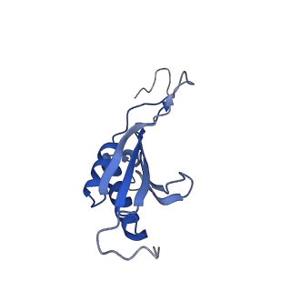 21529_6w2s_P_v1-2
Structure of the Cricket Paralysis Virus 5-UTR IRES (CrPV 5-UTR-IRES) bound to the small ribosomal subunit in the open state (Class 1)