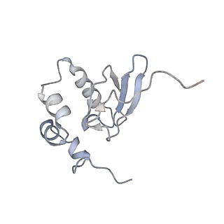 21529_6w2s_Q_v1-1
Structure of the Cricket Paralysis Virus 5-UTR IRES (CrPV 5-UTR-IRES) bound to the small ribosomal subunit in the open state (Class 1)