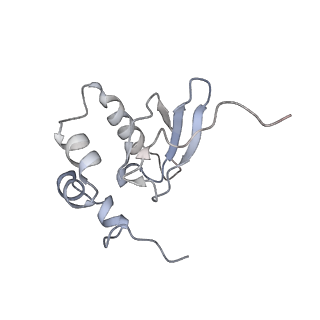 21529_6w2s_Q_v1-2
Structure of the Cricket Paralysis Virus 5-UTR IRES (CrPV 5-UTR-IRES) bound to the small ribosomal subunit in the open state (Class 1)