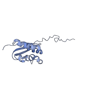 21529_6w2s_R_v1-2
Structure of the Cricket Paralysis Virus 5-UTR IRES (CrPV 5-UTR-IRES) bound to the small ribosomal subunit in the open state (Class 1)