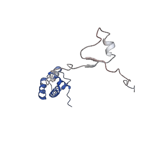 21529_6w2s_S_v1-2
Structure of the Cricket Paralysis Virus 5-UTR IRES (CrPV 5-UTR-IRES) bound to the small ribosomal subunit in the open state (Class 1)