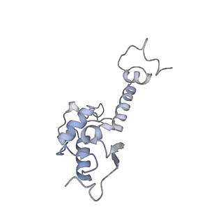 21529_6w2s_T_v1-1
Structure of the Cricket Paralysis Virus 5-UTR IRES (CrPV 5-UTR-IRES) bound to the small ribosomal subunit in the open state (Class 1)